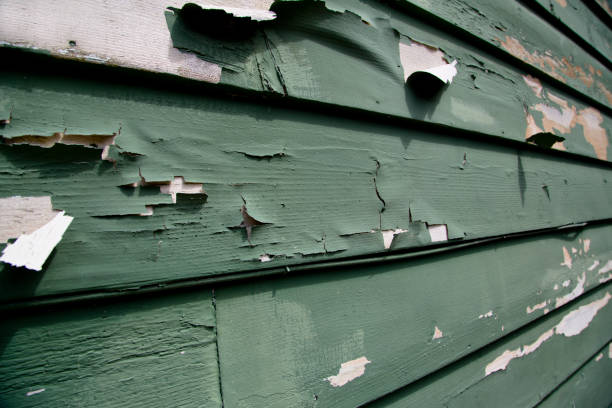 Best Custom Trim and Detailing for Siding  in Shrewsbury, NJ