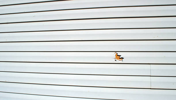 Affordable siding repair and maintenance services in Shrewsbury, NJ